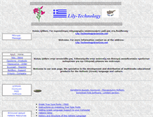 Tablet Screenshot of lily-technology.com